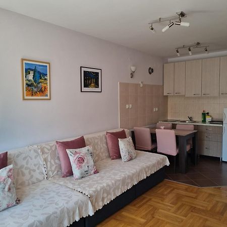 Studio Apartman Zvezdana Noc Vrnjačka Banja Zewnętrze zdjęcie