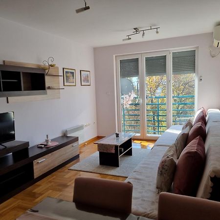 Studio Apartman Zvezdana Noc Vrnjačka Banja Zewnętrze zdjęcie