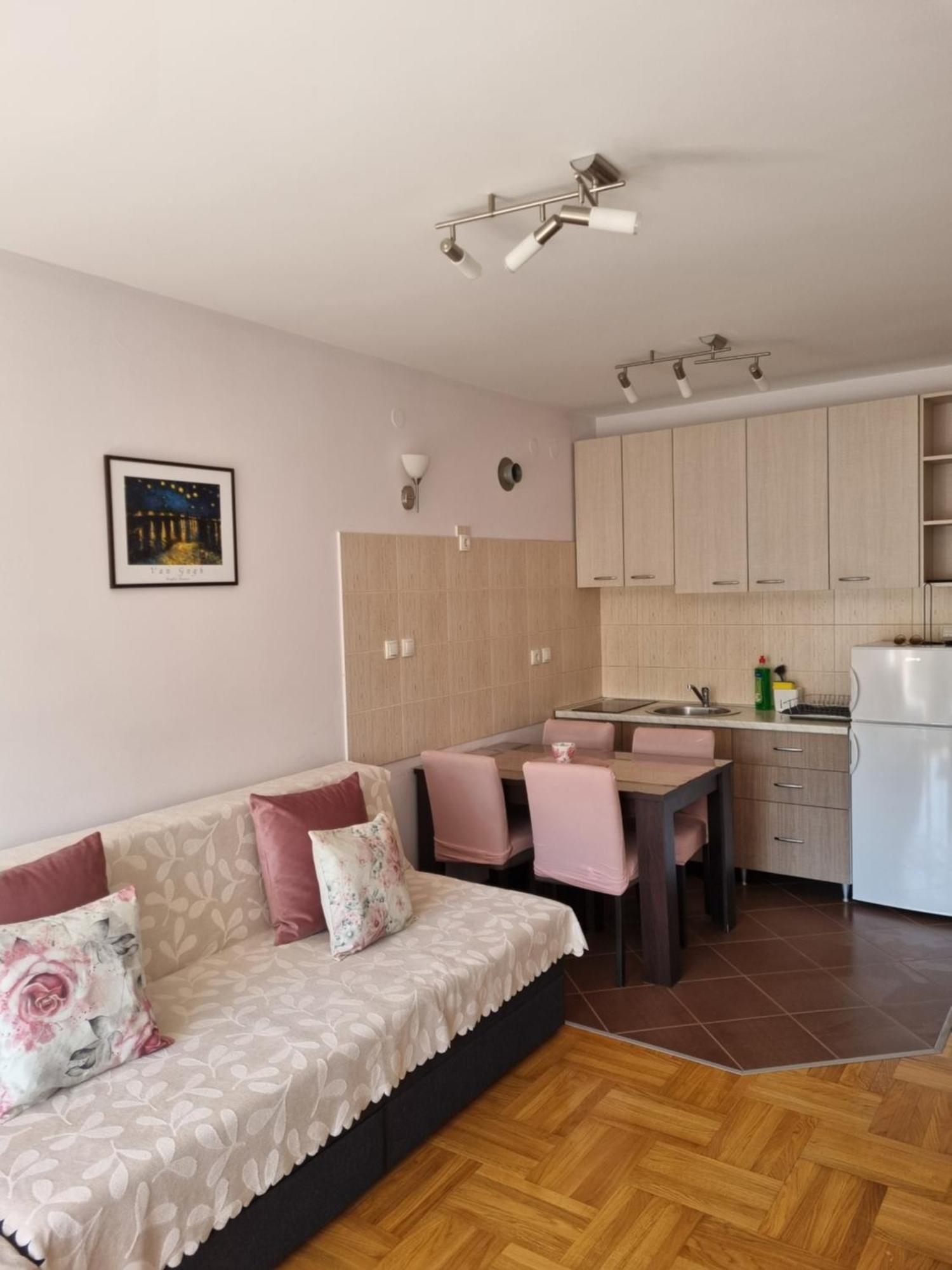Studio Apartman Zvezdana Noc Vrnjačka Banja Zewnętrze zdjęcie